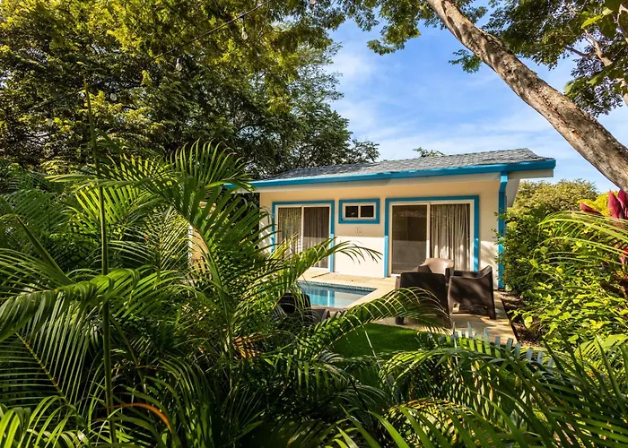 Blue Monkey - Luxury - Walk To Playa Conchal Villa *