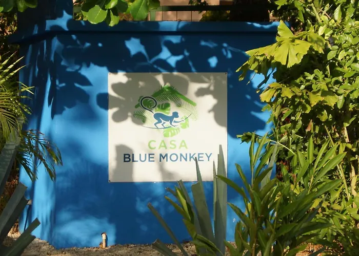 Blue Monkey - Luxury - Walk To Playa Conchal Villa Brasilito